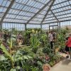 Blooming brilliant! Gold award for the Tropical Butterfly House