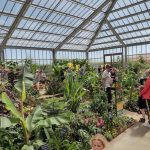 Blooming brilliant! Gold award for the Tropical Butterfly House