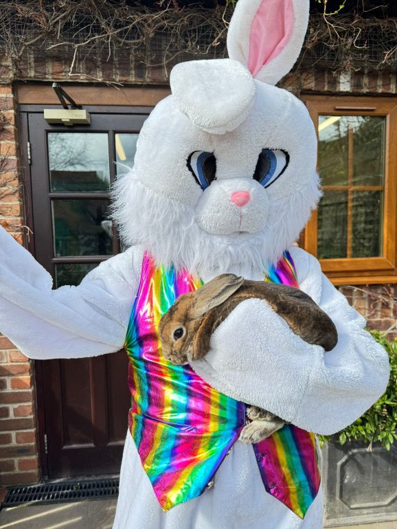 Hop along to the Easter Buddies Trail at the Tropical Butterfly House