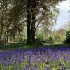 Wentworth Woodhouse celebrates the Celtic Beltane Festival