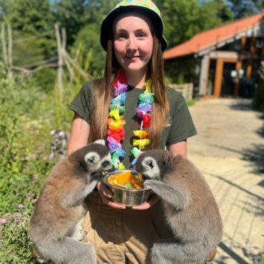 Follow the flutter, swing and squawk along the Tropical Treasures trail