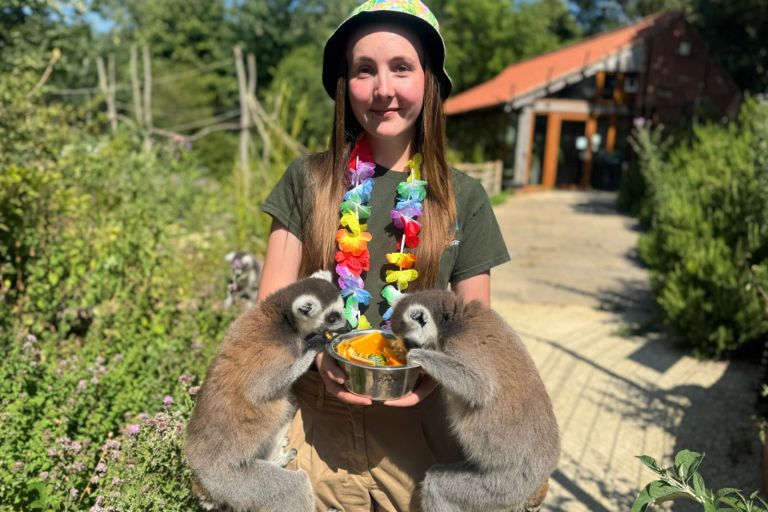 Follow the flutter, swing and squawk along the Tropical Treasures trail