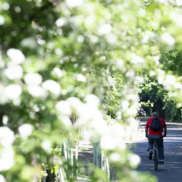 Communities in Yorkshire offered extra boost for local walking, wheeling and cycling trails
