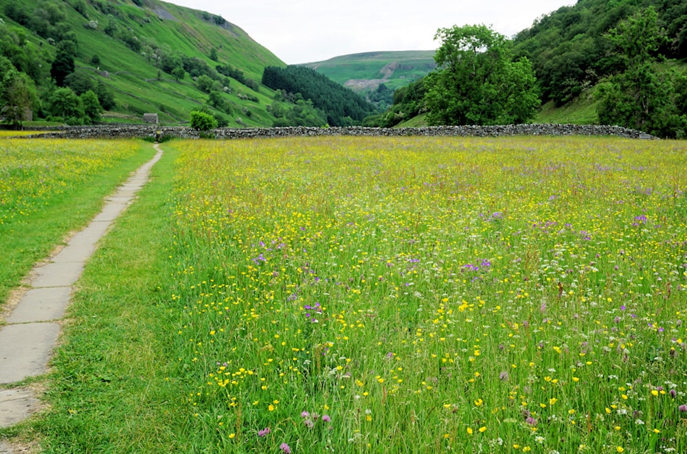 Finalists unveiled for the 2026 Schöffel Countryside Awards