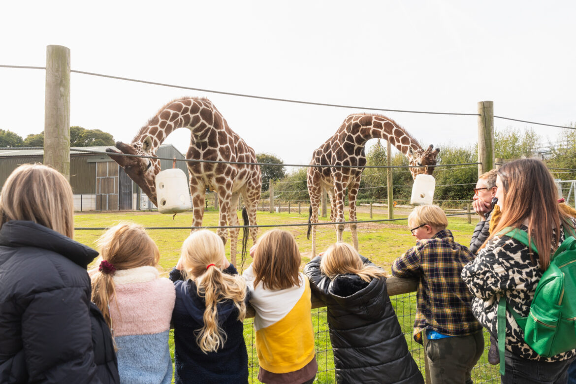 South Yorkshire Tourism Continues Strong Growth with £4 billion Economic Impact