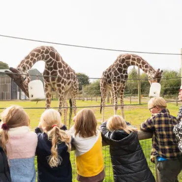 South Yorkshire Tourism Continues Strong Growth with £4 billion Economic Impact