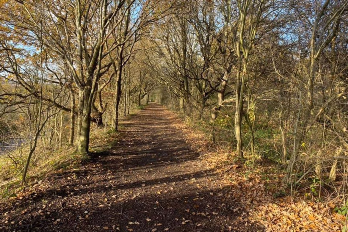 Green spaces across the region celebrate achieving the international quality standard